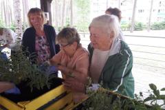 foto0079